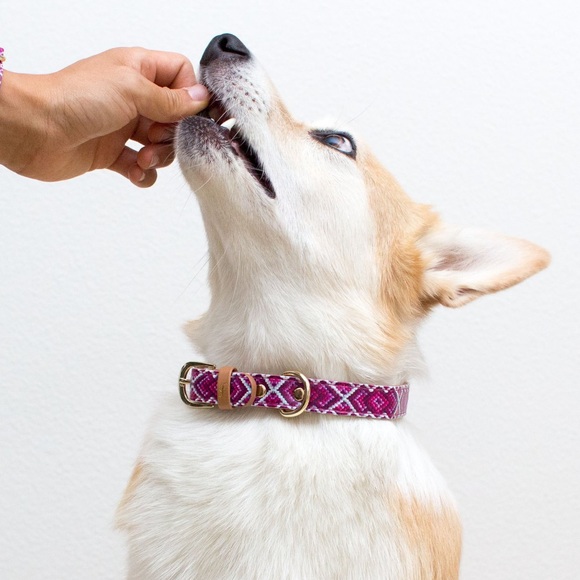 Urban Outfitters Other - Friendship Collar Large Tribal Dog Collar